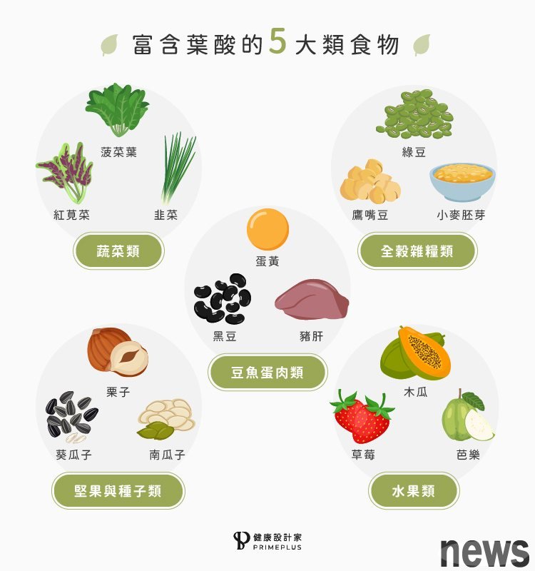 圖一/富含葉酸的五大類食物

  